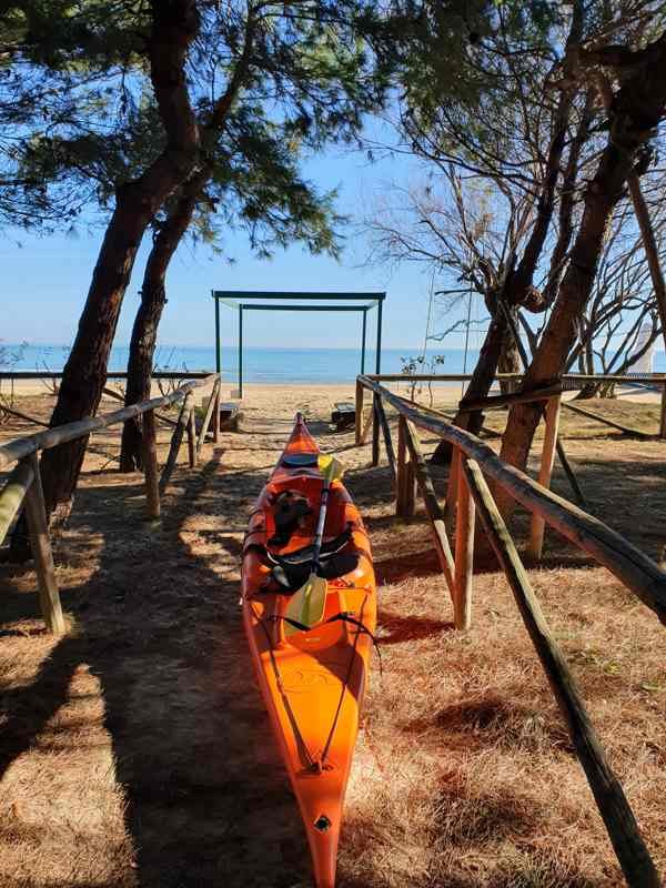 Un kayak arancione su un sentiero tra i pini che porta al mare